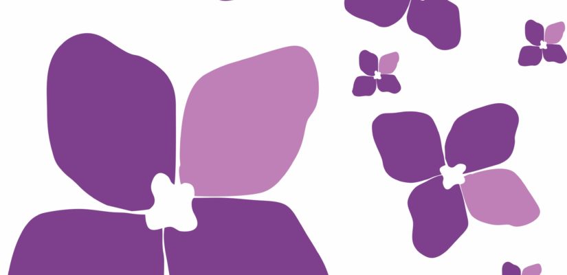 Šeříky - ZŠ Šeříkova